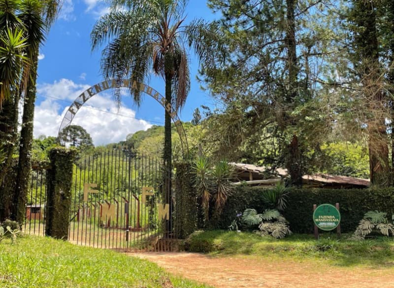 Foto 4 de 5: Area Rural em leilão em Ouro Fino - MG, bairro Santa Izabel — LOTE 001 SORTE DE TERRAS DE 01 HECTARE NA FAZENDA MANDASSAIA EM OURO FINO/MG