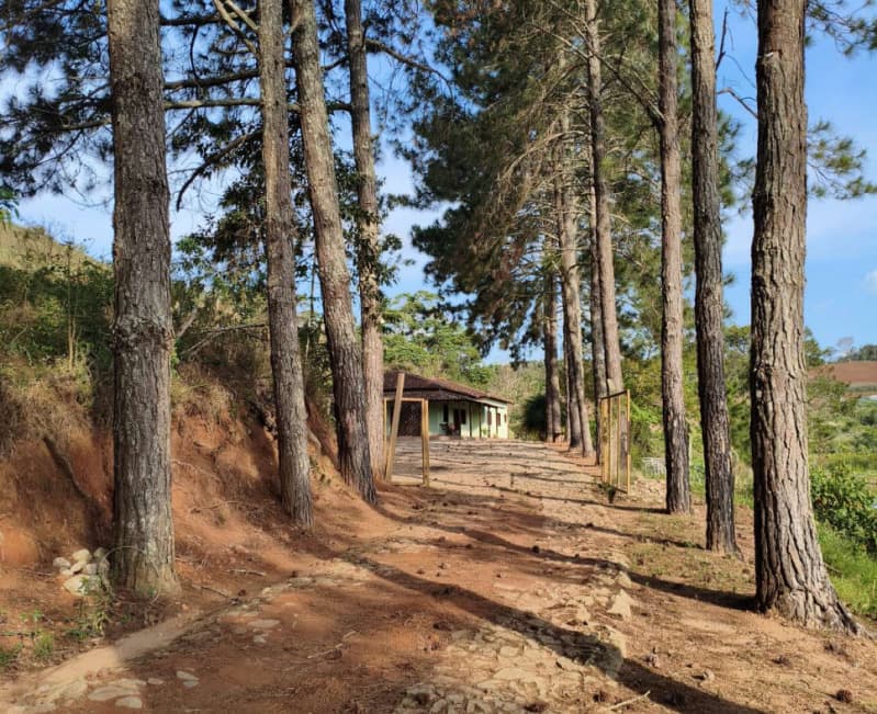 Foto 17 de 18: Area Rural em leilão em Cristiano Otoni - MG — LOTE 001 FAZENDA HAVAÍ COM ÁREA DE 33,7590 HA, COM GALPÃO E ESCRITÓRIO NA RODOVIA BR-040 EM CRISTIAN