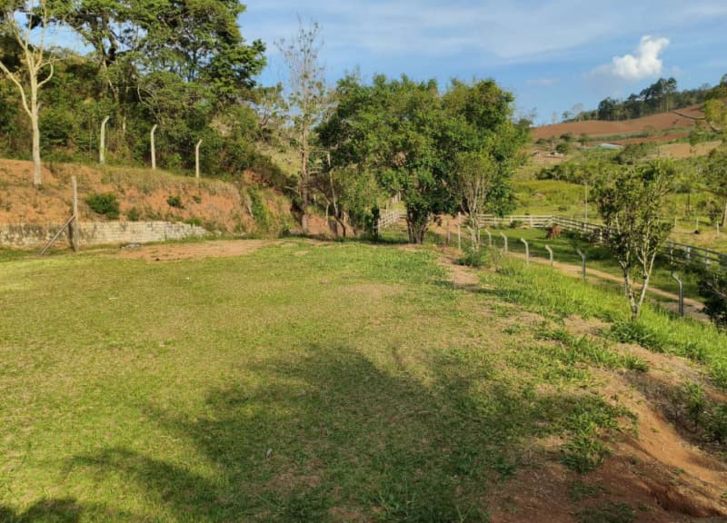 Foto 5 de 18: Area Rural em leilão em Cristiano Otoni - MG — LOTE 001 FAZENDA HAVAÍ COM ÁREA DE 33,7590 HA, COM GALPÃO E ESCRITÓRIO NA RODOVIA BR-040 EM CRISTIAN