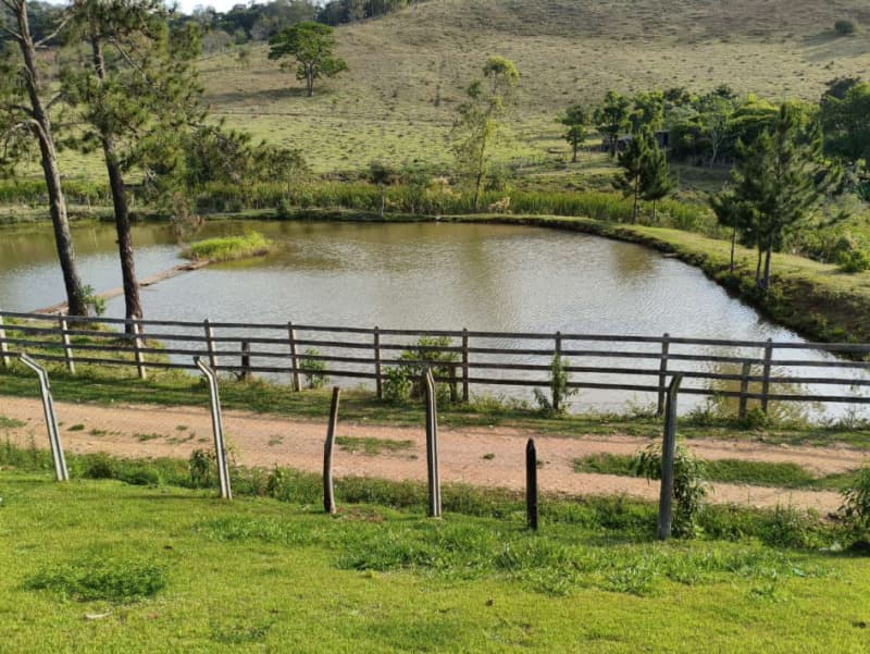 Foto 6 de 18: Area Rural em leilão em Cristiano Otoni - MG — LOTE 001 FAZENDA HAVAÍ COM ÁREA DE 33,7590 HA, COM GALPÃO E ESCRITÓRIO NA RODOVIA BR-040 EM CRISTIAN