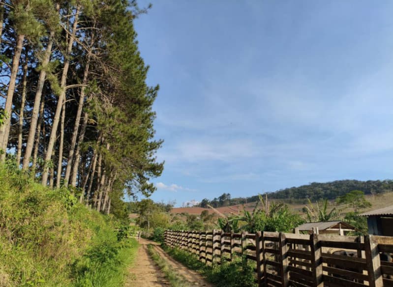 Foto 7 de 18: Area Rural em leilão em Cristiano Otoni - MG — LOTE 001 FAZENDA HAVAÍ COM ÁREA DE 33,7590 HA, COM GALPÃO E ESCRITÓRIO NA RODOVIA BR-040 EM CRISTIAN
