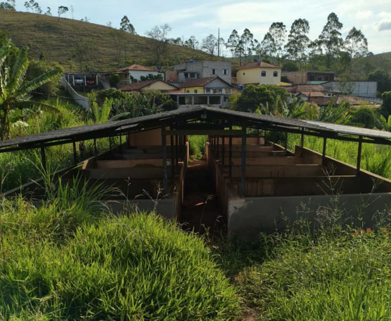 Foto 9 de 18: Area Rural em leilão em Cristiano Otoni - MG — LOTE 001 FAZENDA HAVAÍ COM ÁREA DE 33,7590 HA, COM GALPÃO E ESCRITÓRIO NA RODOVIA BR-040 EM CRISTIAN