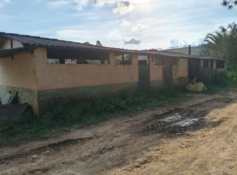 Foto 10 de 18: Area Rural em leilão em Cristiano Otoni - MG — LOTE 001 FAZENDA HAVAÍ COM ÁREA DE 33,7590 HA, COM GALPÃO E ESCRITÓRIO NA RODOVIA BR-040 EM CRISTIAN