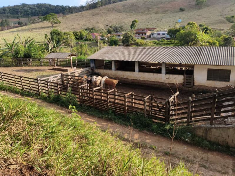 Foto 11 de 18: Area Rural em leilão em Cristiano Otoni - MG — LOTE 001 FAZENDA HAVAÍ COM ÁREA DE 33,7590 HA, COM GALPÃO E ESCRITÓRIO NA RODOVIA BR-040 EM CRISTIAN