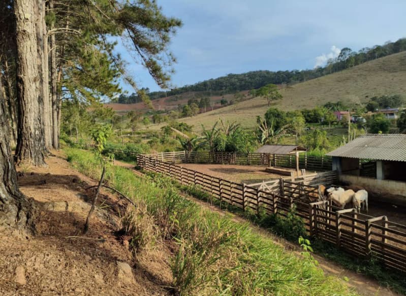 Foto 12 de 18: Area Rural em leilão em Cristiano Otoni - MG — LOTE 001 FAZENDA HAVAÍ COM ÁREA DE 33,7590 HA, COM GALPÃO E ESCRITÓRIO NA RODOVIA BR-040 EM CRISTIAN
