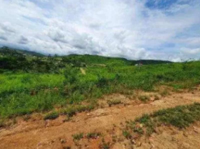 Terreno em leilão em Timbaúba - PE — LOTE 007 Lote em Leilão Judicial