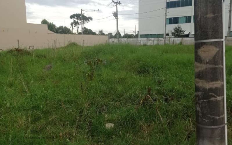 Foto 3 de 4: Terreno em leilão em Canoinhas - SC — LOTE 001 Terreno