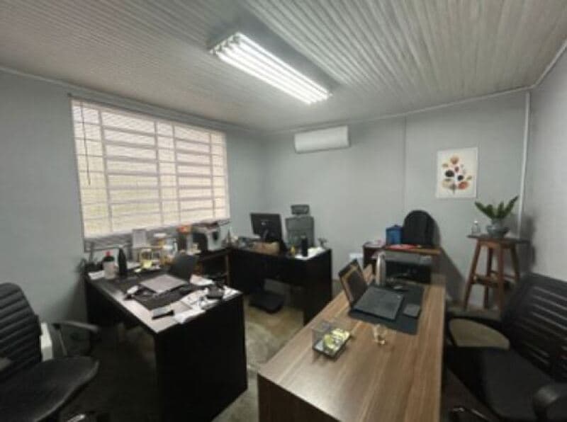Foto 8 de 11: Casa em leilão em São Paulo - SP, bairro Vila Paulicéia — LOTE 001 Casa e Terreno com área de 278m², Tucuruvi, São Paulo/SP