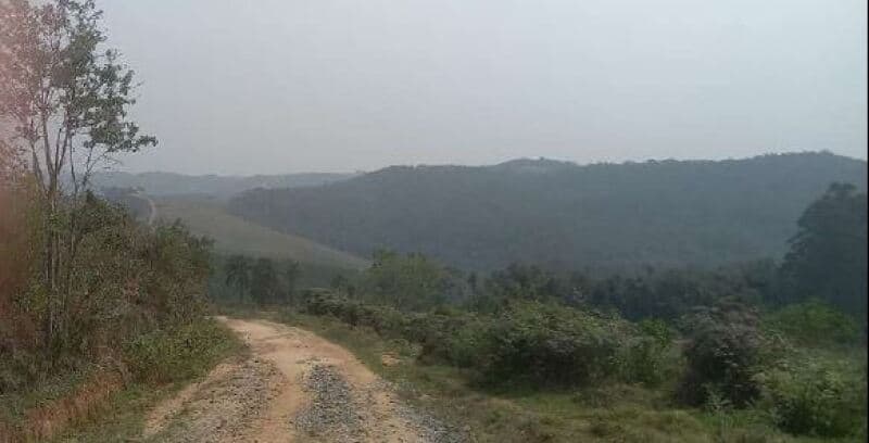 Foto 5 de 7: Area Rural em leilão em Guapiara - SP — LOTE 001 Gleba de Terras, Sítio Ikeda V, área de 34 has, Capão Bonito/SP