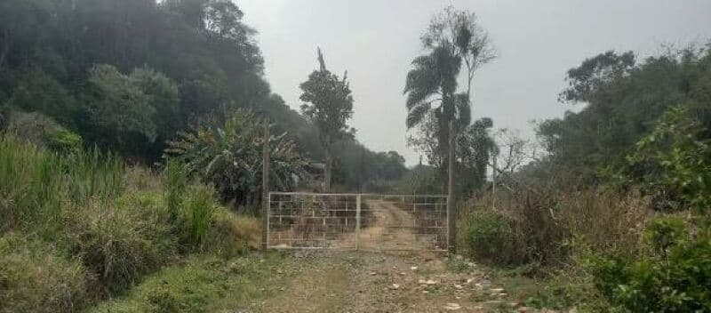 Foto 6 de 7: Area Rural em leilão em Guapiara - SP — LOTE 001 Gleba de Terras, Sítio Ikeda V, área de 34 has, Capão Bonito/SP