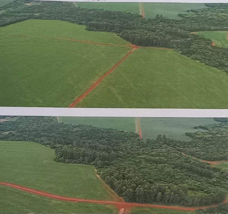 Foto 5 de 6: Area Rural em leilão em Toledo - PR — LOTE 001 Lote Rural n° 06-A, da Gleba n° 01, 1° Parte da Colônia São Francisco, com a área de 231,86