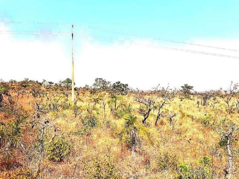 Foto 13 de 19: Area Rural em leilão em Vila Bela Da Santíssima Trindade - MT — LOTE 001 Imóvel Rural com A.T. 6.238,9109 hectares, Fazenda Serra Dourada IV - MT