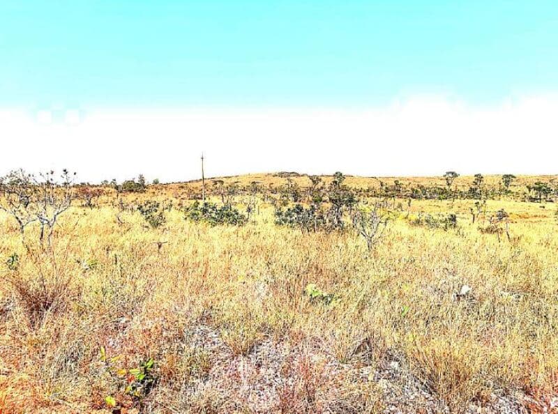 Foto 15 de 19: Area Rural em leilão em Vila Bela Da Santíssima Trindade - MT — LOTE 001 Imóvel Rural com A.T. 6.238,9109 hectares, Fazenda Serra Dourada IV - MT