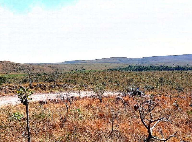 Foto 18 de 19: Area Rural em leilão em Vila Bela Da Santíssima Trindade - MT — LOTE 001 Imóvel Rural com A.T. 6.238,9109 hectares, Fazenda Serra Dourada IV - MT