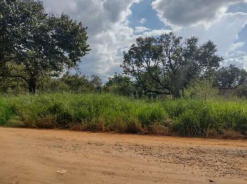 Terreno em leilão em Itapetininga - SP, bairro Bairro do Pinhal — LOTE 001 Terreno com área de 6.000m², Bairro do Pinhal, Vila Curuçá, Itapetininga/SP