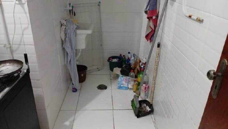 Foto 11 de 17: Apartamento em leilão em São Paulo - SP, bairro Santa Efigênia — LOTE 001 Apartamento Ed. Vallinoto, A.U. 51m², A.T. 59m², 2 dorms, Santa Efigênia, São Paulo/SP