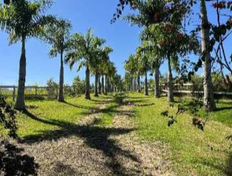 Foto 17 de 20: Terreno em leilão em Araçoiaba Da Serra - SP, bairro Aparecida — LOTE 001 Terreno - Sítio São Pedro, Gleba B, A.T. 2,7 has, Aparecida, Araçoiaba da Serra/SP