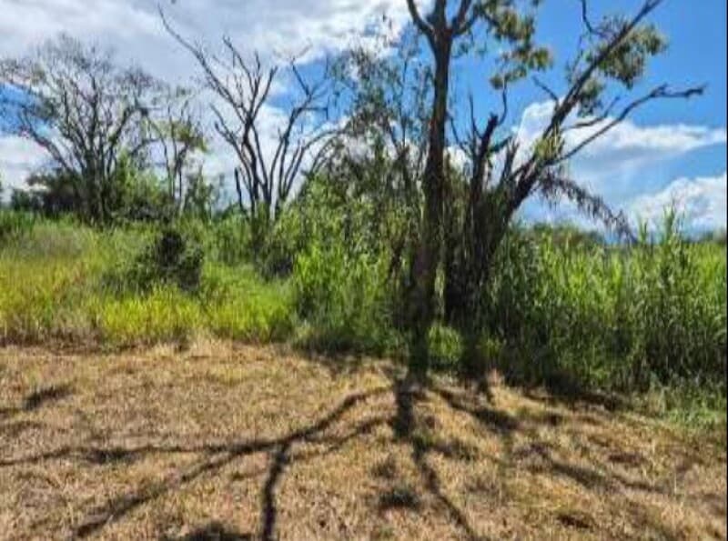 Foto 10 de 11: Terreno em leilão em Guaratinguetá - SP, bairro Vila Santos — LOTE 005 Terreno Lote 5, Quadra B, A.T. 300m², Vila Santos Guaratinguetá, Guaratinguetá/SP