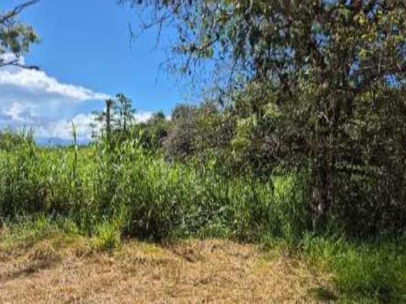 Foto 11 de 11: Terreno em leilão em Guaratinguetá - SP, bairro Vila Santos — LOTE 005 Terreno Lote 5, Quadra B, A.T. 300m², Vila Santos Guaratinguetá, Guaratinguetá/SP