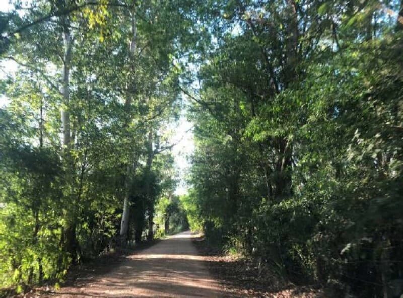 Foto 2 de 34: Area Rural em leilão em Piracicaba - SP — LOTE 001 Imóvel Rural, Sítio Palácio, com área de 64,47,56 has, Piracicaba/SP