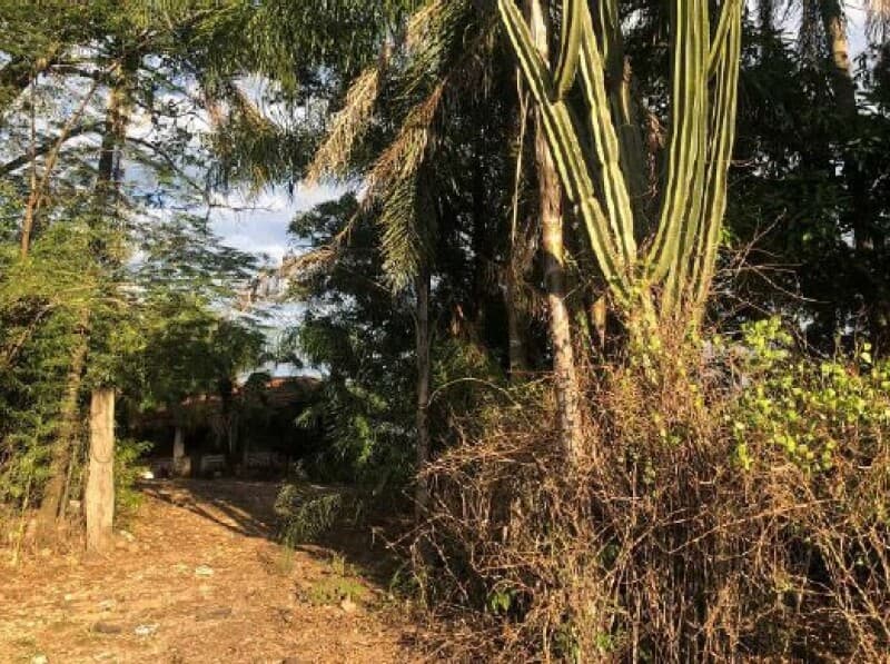 Foto 4 de 34: Area Rural em leilão em Piracicaba - SP — LOTE 001 Imóvel Rural, Sítio Palácio, com área de 64,47,56 has, Piracicaba/SP