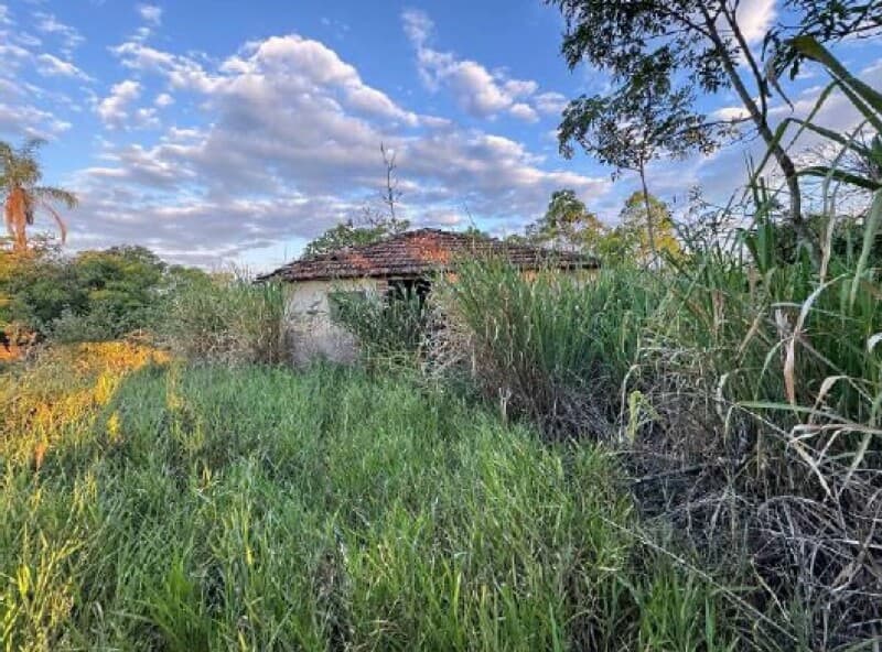 Foto 5 de 34: Area Rural em leilão em Piracicaba - SP — LOTE 001 Imóvel Rural, Sítio Palácio, com área de 64,47,56 has, Piracicaba/SP