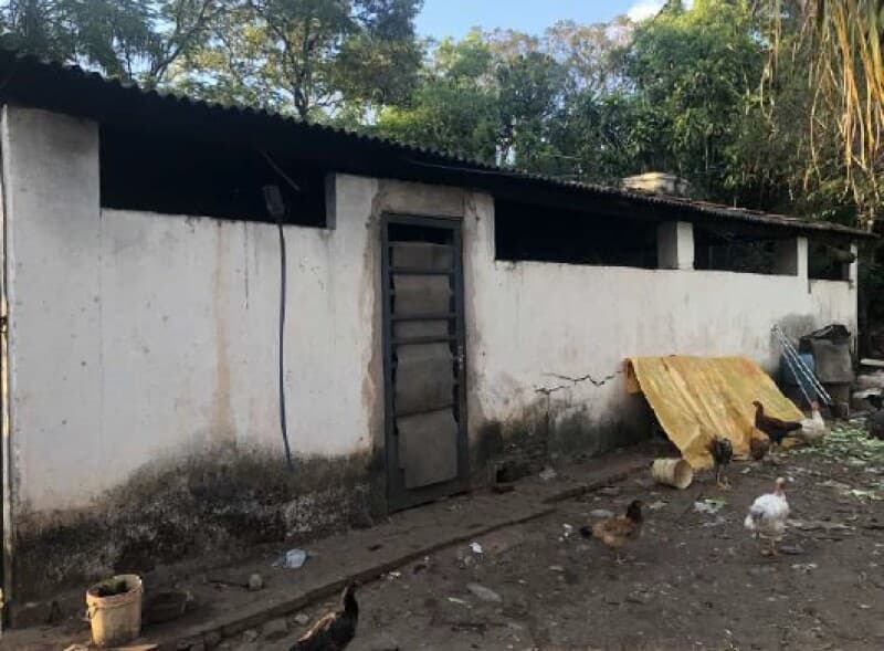 Foto 11 de 34: Area Rural em leilão em Piracicaba - SP — LOTE 001 Imóvel Rural, Sítio Palácio, com área de 64,47,56 has, Piracicaba/SP