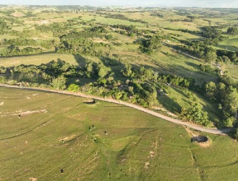 Foto 30 de 34: Area Rural em leilão em Piracicaba - SP — LOTE 001 Imóvel Rural, Sítio Palácio, com área de 64,47,56 has, Piracicaba/SP