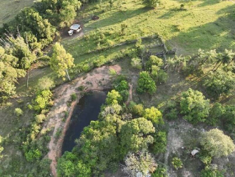 Foto 33 de 34: Area Rural em leilão em Piracicaba - SP — LOTE 001 Imóvel Rural, Sítio Palácio, com área de 64,47,56 has, Piracicaba/SP