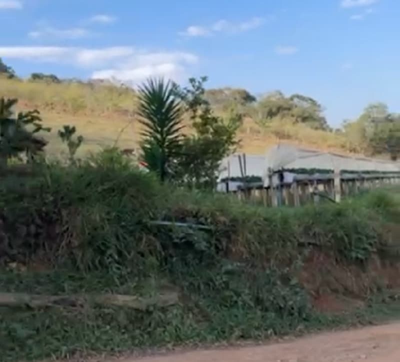Area Rural em leilão em Cambuí - MG — LOTE 001 IMÓVEL RURAL