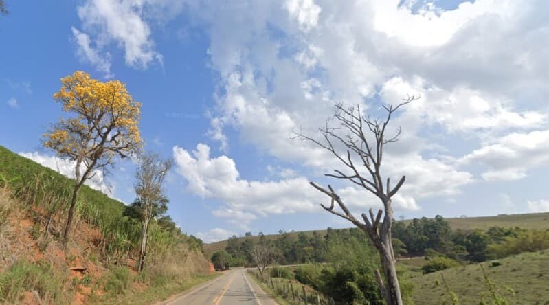 Area Rural em leilão em Divino - MG — LOTE 009 IMÓVEL RURAL DE 03,36,54 HECTARES COM PÉS DE CAFÉ EM DIVINO/MG