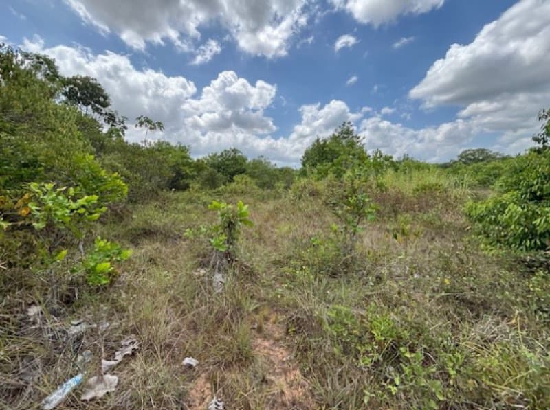 Foto 5 de 8: Terreno em leilão em Camaçari - BA — LOTE 001 TERRENO COM 52.268,00M2 - CAMAÇARI - BA