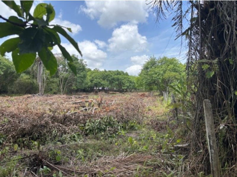 Foto 6 de 8: Terreno em leilão em Camaçari - BA — LOTE 001 TERRENO COM 52.268,00M2 - CAMAÇARI - BA