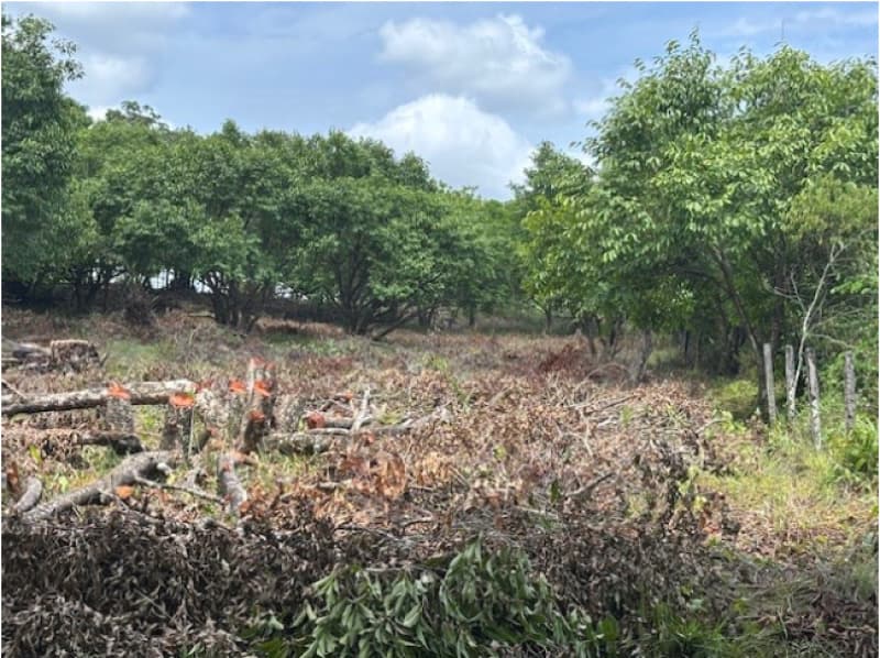 Foto 7 de 8: Terreno em leilão em Camaçari - BA — LOTE 001 TERRENO COM 52.268,00M2 - CAMAÇARI - BA