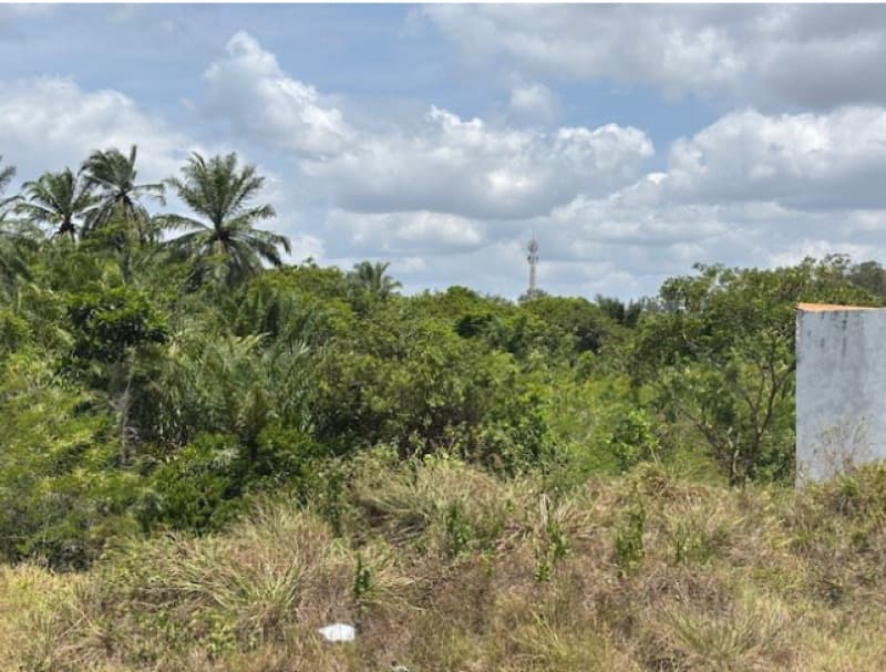 Foto 8 de 8: Terreno em leilão em Camaçari - BA — LOTE 001 TERRENO COM 52.268,00M2 - CAMAÇARI - BA