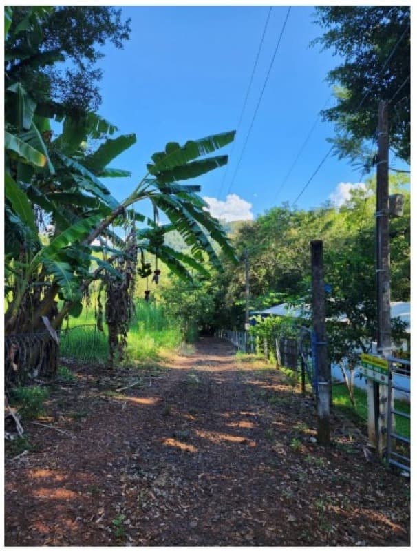 Foto 1 de 5: Terreno em leilão em Nova Erechim - SC — LOTE 001 Direitos de crédito (aquisitivos) REFERENTE À ÁREA DE 1.525 M², (Fração)
