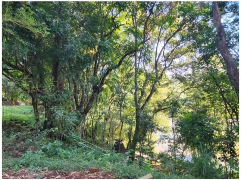 Foto 3 de 5: Terreno em leilão em Nova Erechim - SC — LOTE 001 Direitos de crédito (aquisitivos) REFERENTE À ÁREA DE 1.525 M², (Fração)