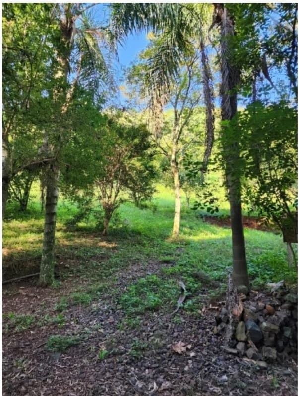 Foto 5 de 5: Terreno em leilão em Nova Erechim - SC — LOTE 001 Direitos de crédito (aquisitivos) REFERENTE À ÁREA DE 1.525 M², (Fração)