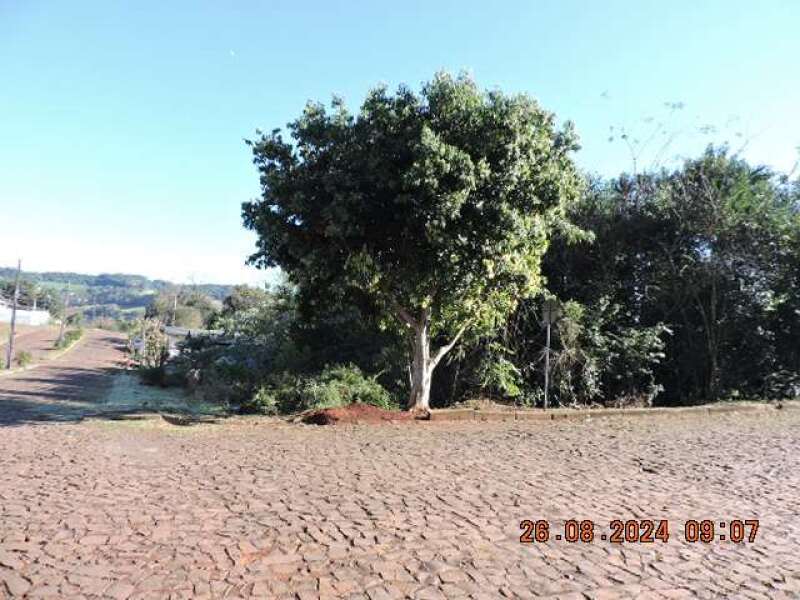Foto 2 de 6: Terreno em leilão em Princesa - SC, bairro Centro — LOTE 001 Terreno Urbano