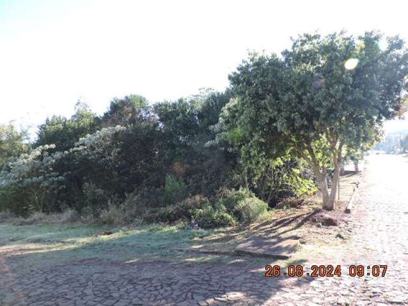 Foto 3 de 6: Terreno em leilão em Princesa - SC, bairro Centro — LOTE 001 Terreno Urbano