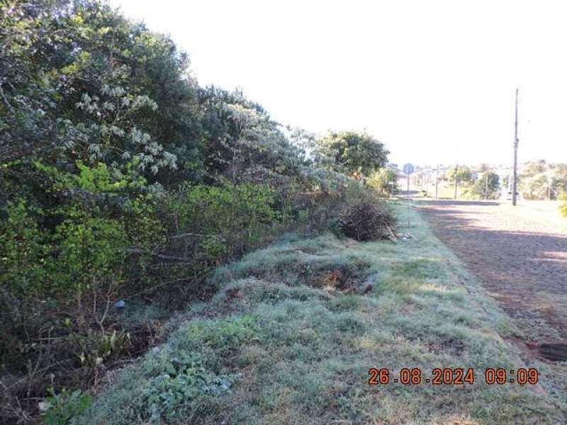 Foto 5 de 6: Terreno em leilão em Princesa - SC, bairro Centro — LOTE 001 Terreno Urbano