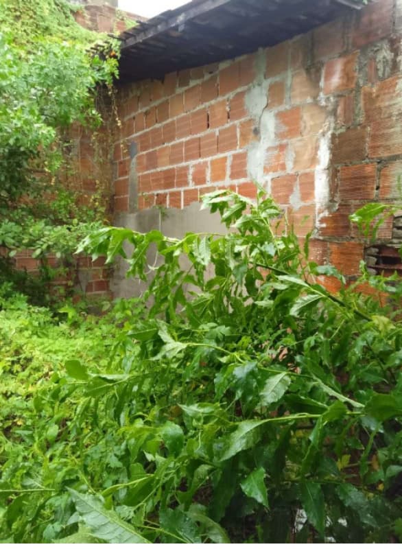 Foto 6 de 8: Imóvel em leilão em Nossa Senhora Do Socorro - SE — LOTE 001 01 (um) imóvel localizado na Rua A-19 nº 75, Bairro Marcos Freire II, na cidade de Nossa Se