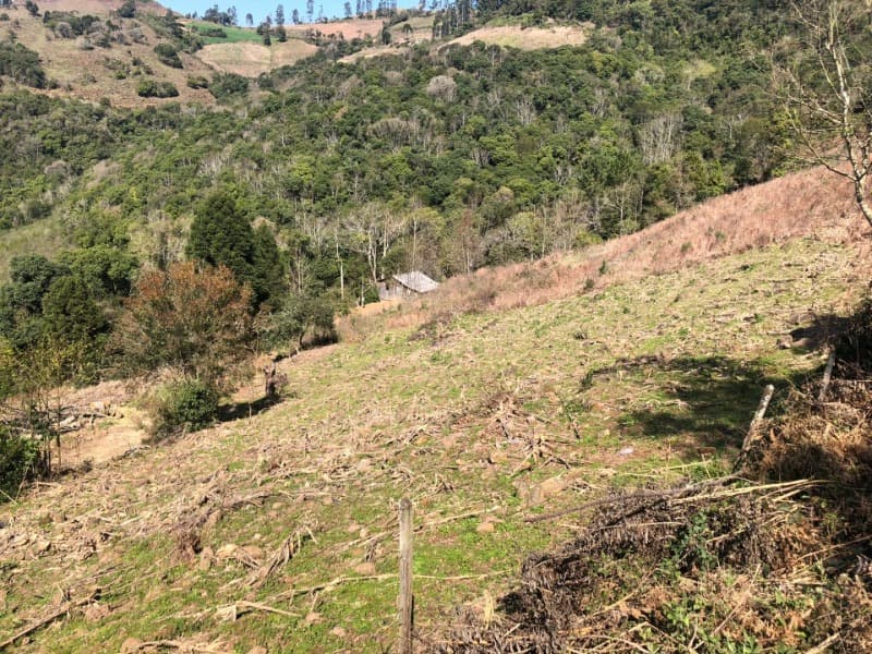 Foto 5 de 15: Area Rural em leilão em Barros Cassal - RS — LOTE 006 LOTE RURAL Nº 348, da Secção Godolfim Ramos, com a área de 146.000,00m² em Barros Cassal/RS
