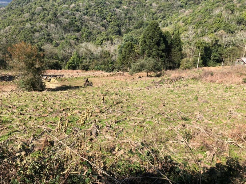 Foto 10 de 15: Area Rural em leilão em Barros Cassal - RS — LOTE 006 LOTE RURAL Nº 348, da Secção Godolfim Ramos, com a área de 146.000,00m² em Barros Cassal/RS
