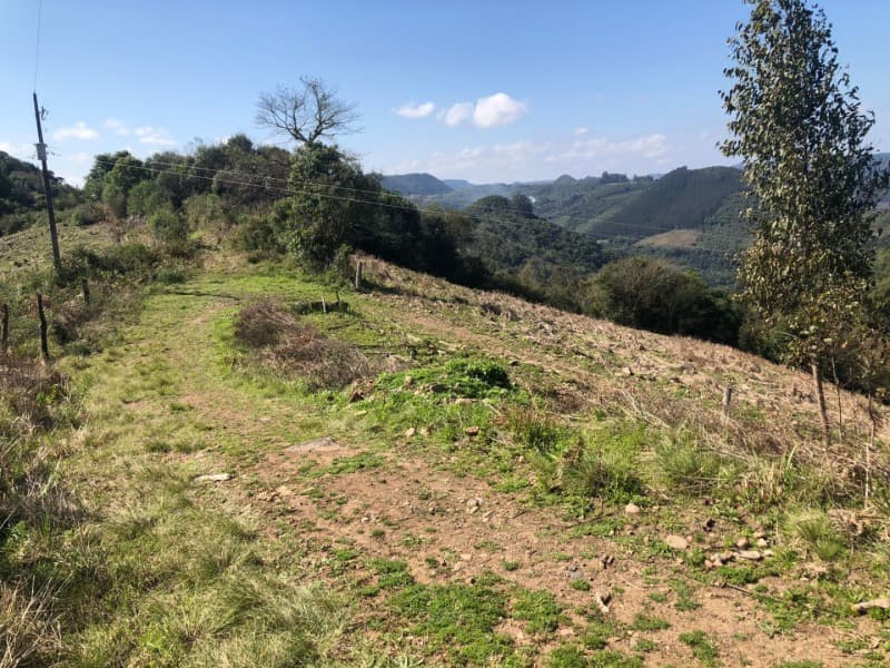 Foto 15 de 15: Area Rural em leilão em Barros Cassal - RS — LOTE 006 LOTE RURAL Nº 348, da Secção Godolfim Ramos, com a área de 146.000,00m² em Barros Cassal/RS