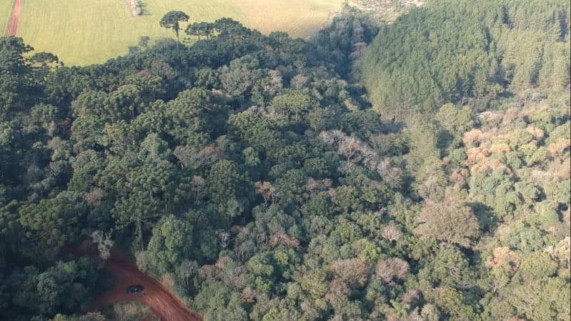 Foto 2 de 8: Area Rural em leilão em Paulo Bento - RS — LOTE 007 A ÁREA DE 20.000,00m² SOBRE O LOTE RURAL Nº 194, da Colônia Paulo Bento, com a área de tota