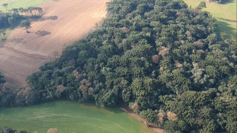 Foto 3 de 8: Area Rural em leilão em Paulo Bento - RS — LOTE 007 A ÁREA DE 20.000,00m² SOBRE O LOTE RURAL Nº 194, da Colônia Paulo Bento, com a área de tota