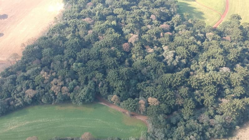 Foto 4 de 8: Area Rural em leilão em Paulo Bento - RS — LOTE 007 A ÁREA DE 20.000,00m² SOBRE O LOTE RURAL Nº 194, da Colônia Paulo Bento, com a área de tota