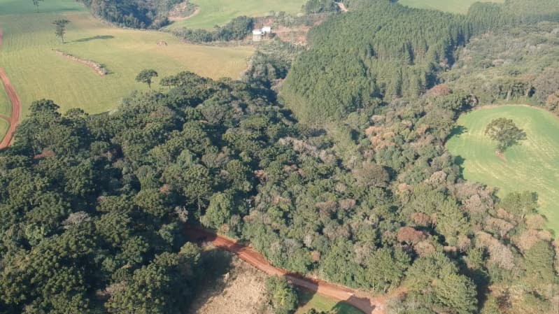 Foto 1 de 8: Area Rural em leilão em Paulo Bento - RS — LOTE 007 A ÁREA DE 20.000,00m² SOBRE O LOTE RURAL Nº 194, da Colônia Paulo Bento, com a área de tota