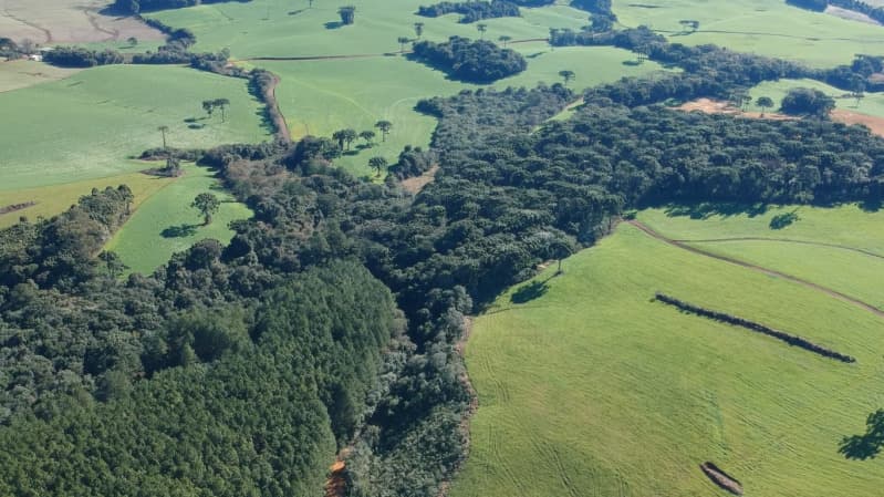 Foto 6 de 8: Area Rural em leilão em Paulo Bento - RS — LOTE 007 A ÁREA DE 20.000,00m² SOBRE O LOTE RURAL Nº 194, da Colônia Paulo Bento, com a área de tota
